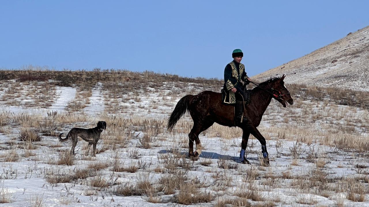 Қарағанды облысының өрт сөндірушісі тазы өсіріп, ұлттық спорт түрлерін жаңғыртып жүр