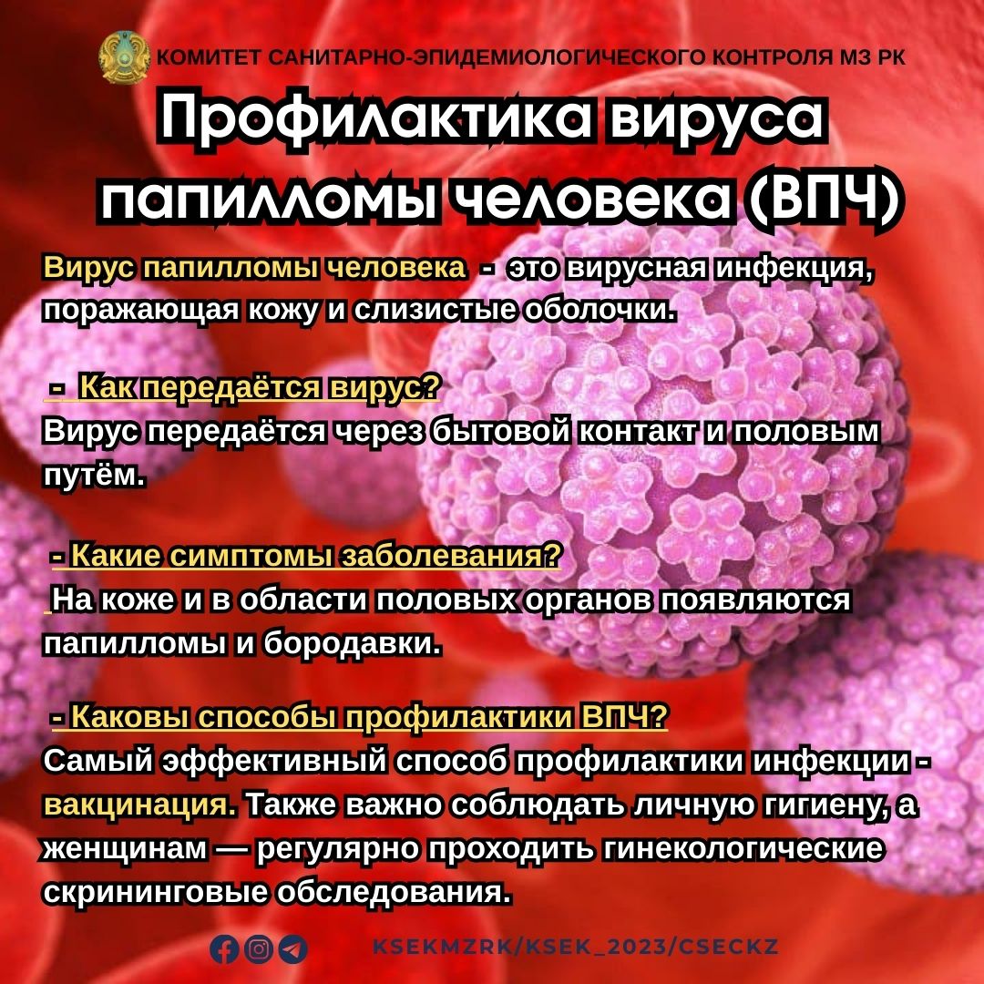 Профилактика вируса папилломы человека