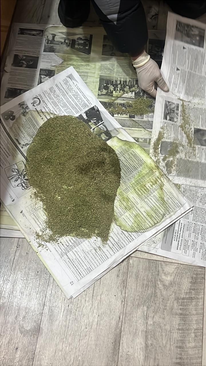 В ВКО из незаконного оборота изъято свыше килограмма марихуаны