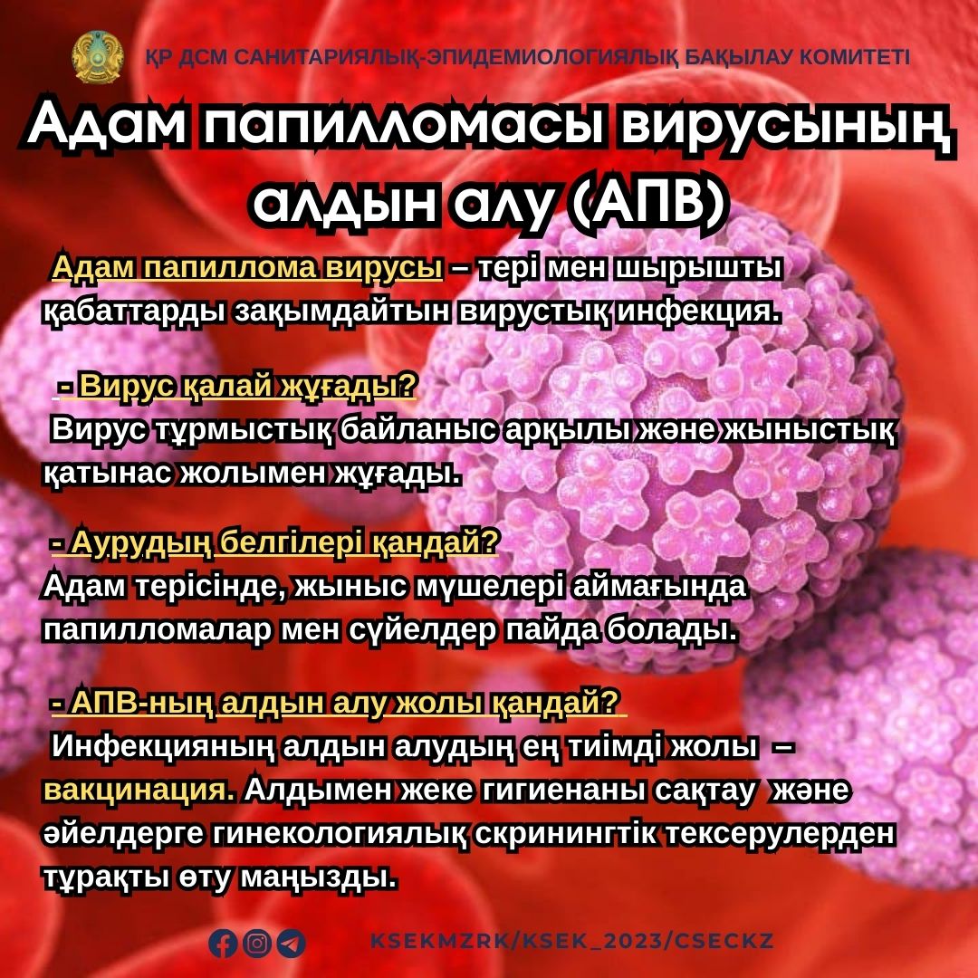 Адам папилломасы вирусының алдын алу