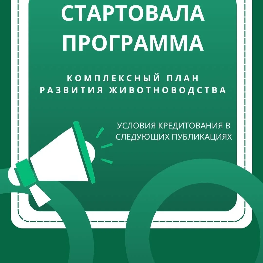 Бағдарламалардың басталуы