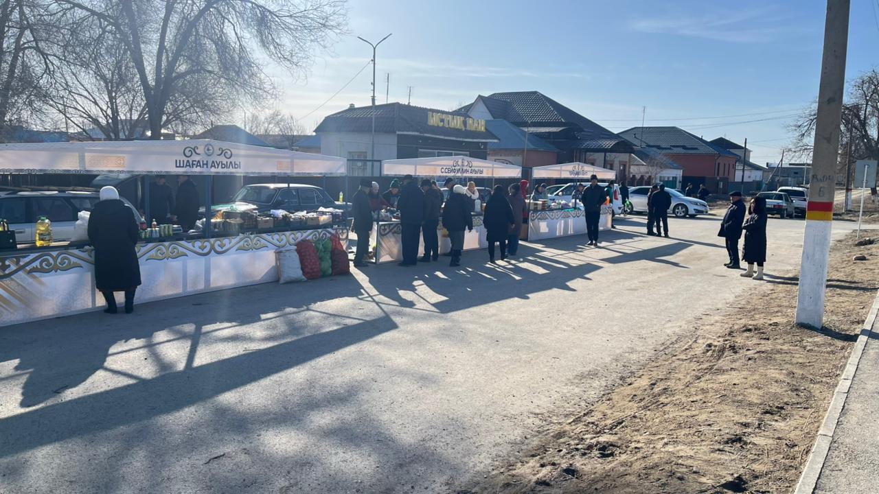 Саяси науқан аясында жәрмеңке ұйымдастырылды