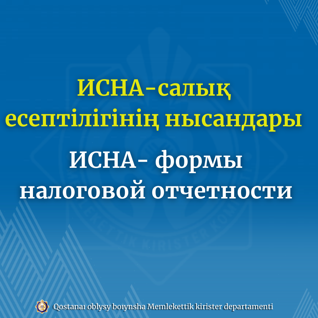 ИСНА- формы налоговой отчетности