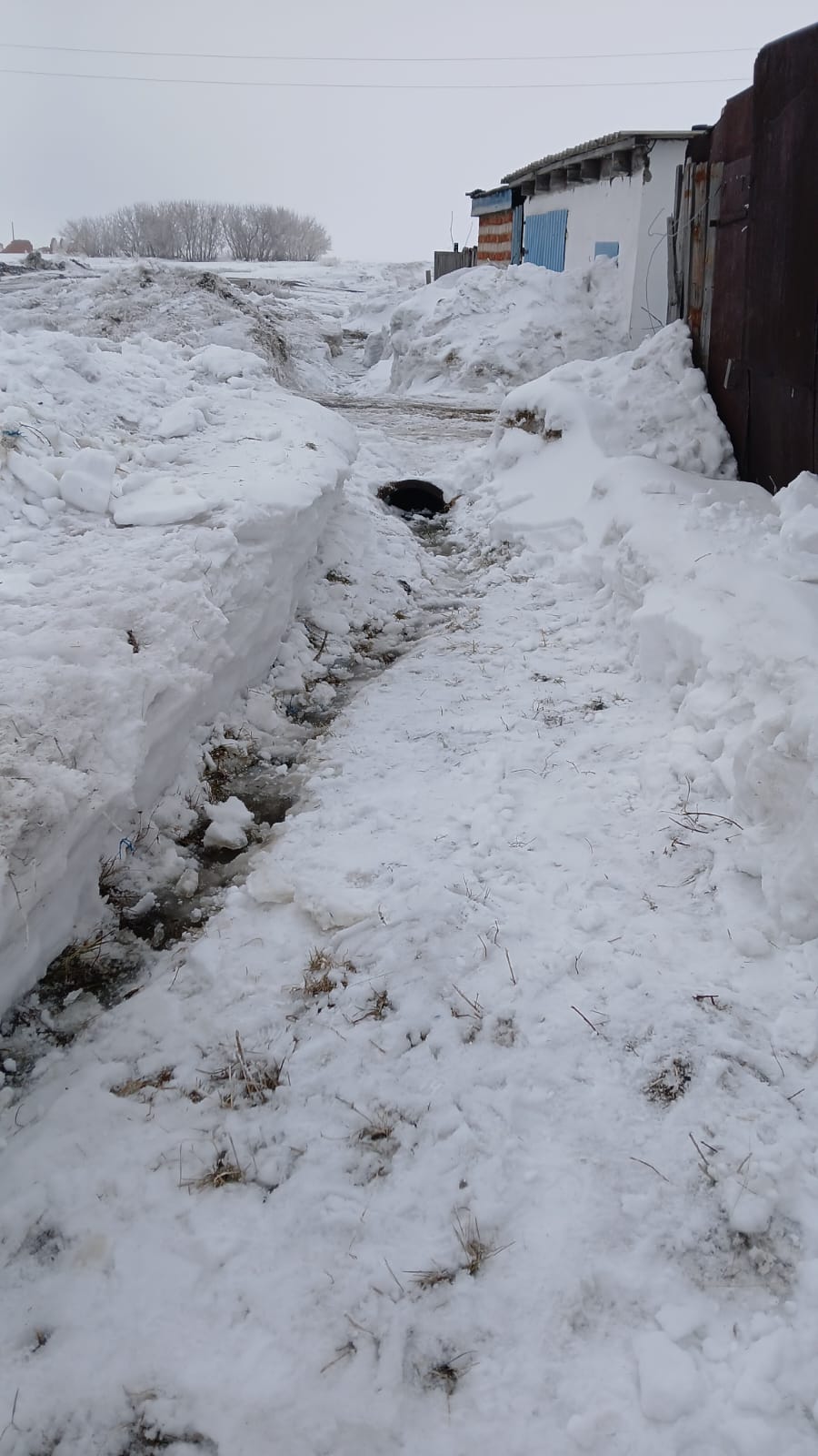 Новоселов ауылындағы тюбингтерді тазарту