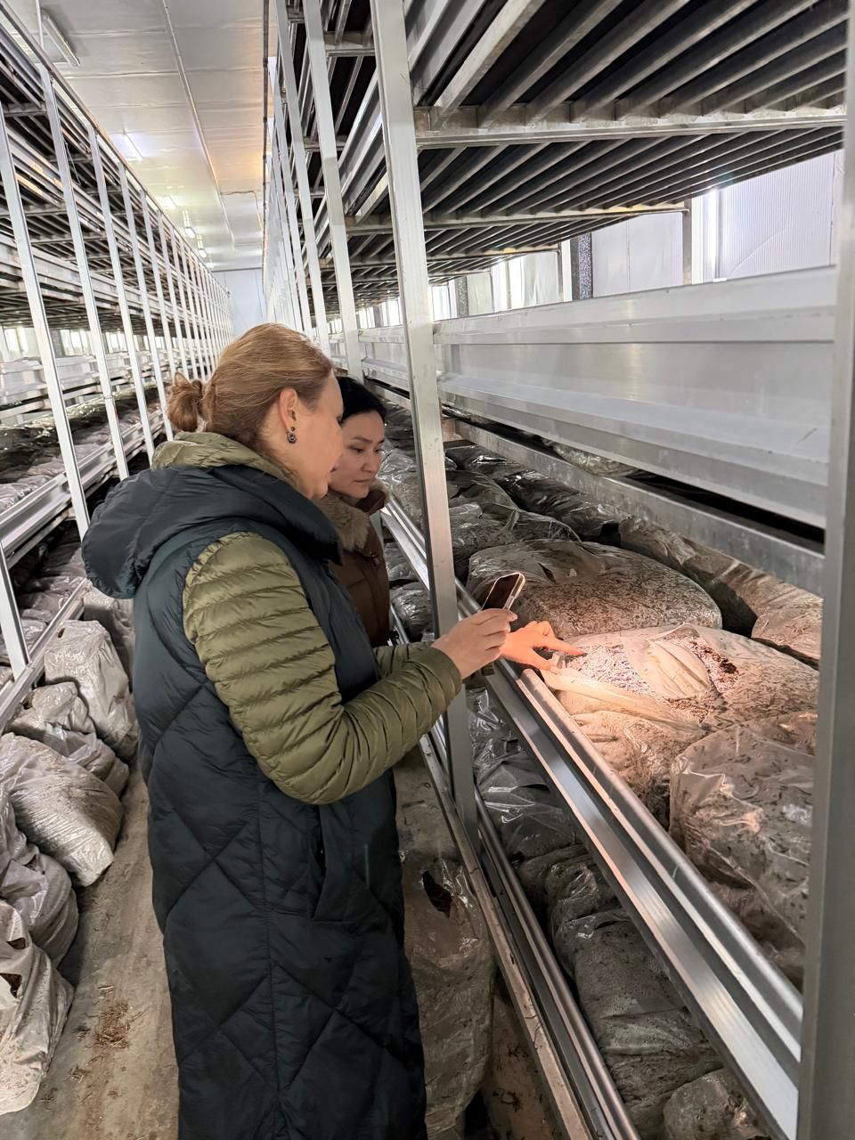 Проведен профилактический контроль в ТОО " KazEcoFood"