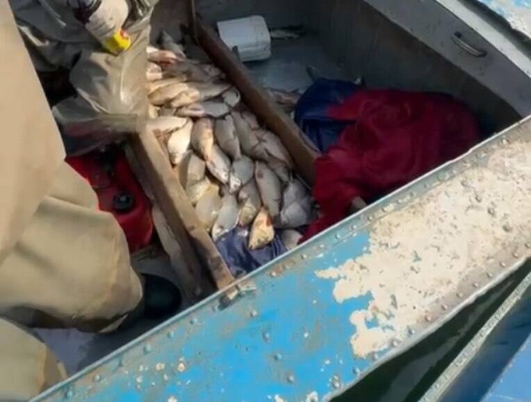 Полиция выявила у браконьеров около 130 кг рыбы в Туркестанской области