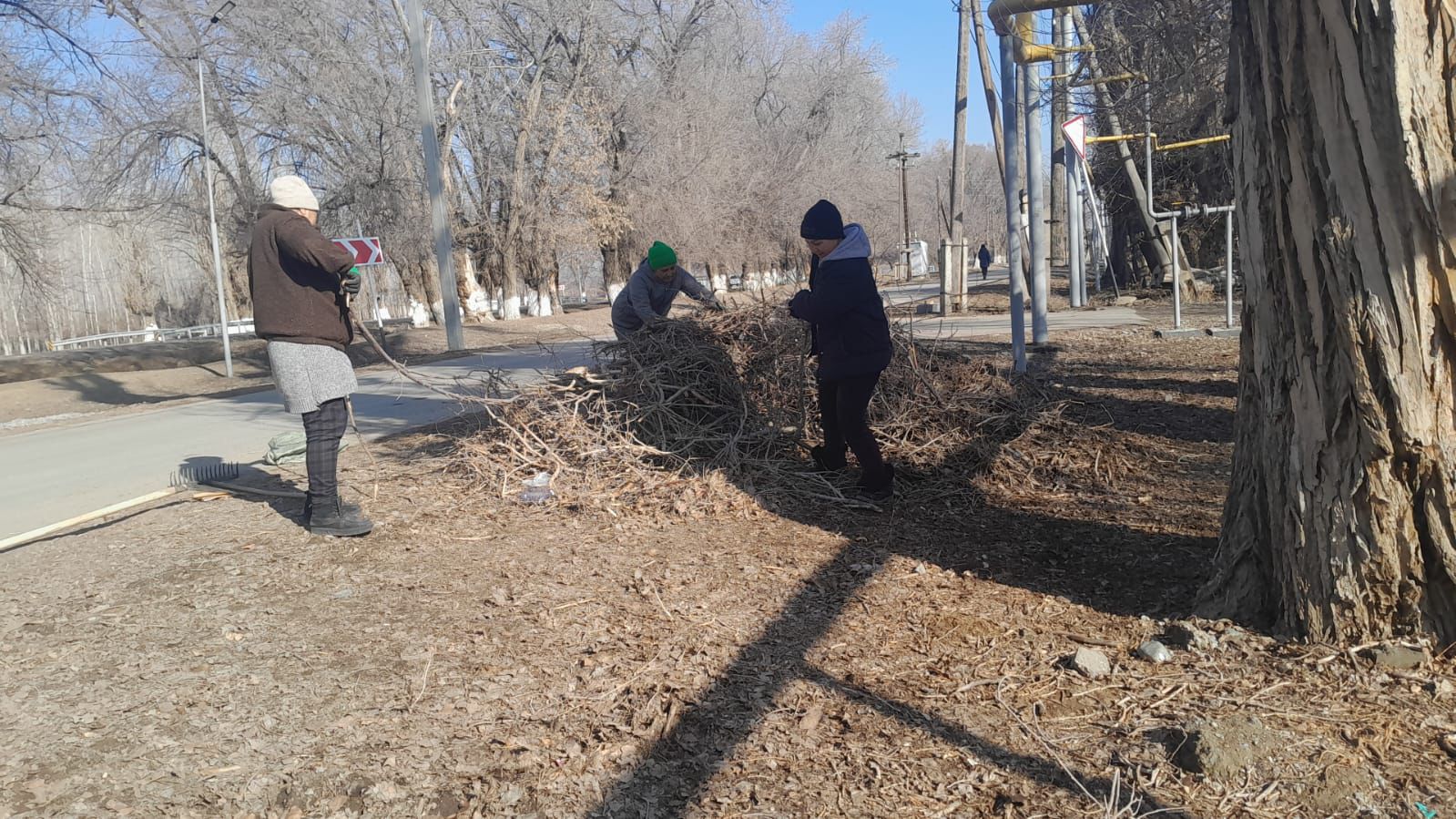 Ескелді ауылдық округінде сенбілік өтті