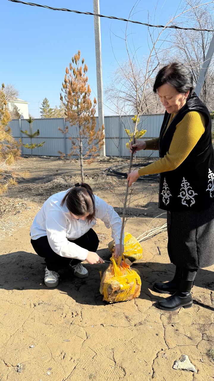 Ескелді ауылдық округінде Жаңару күніне орай ағаш отырғызылды