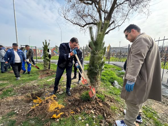 ТҮРКІСТАН: САЙРАМ АУДАНЫНДА ЖАҢАРУ КҮНІНЕ ОРАЙ АҒАШ КӨШЕТТЕРІ ОТЫРҒЫЗЫЛДЫ