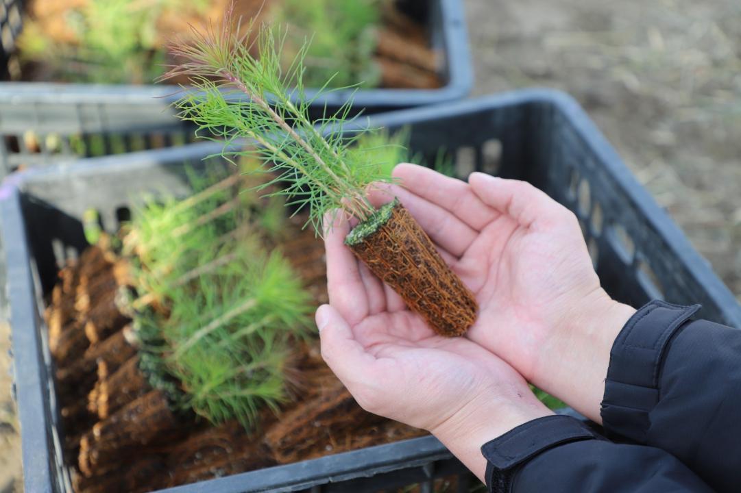 19 наурыз - «Жаңару күні»