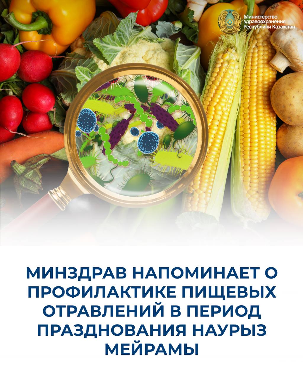 Уважаемые друзья!  Приближается любимый всеми весенний праздник — Наурыз мейрамы, который сопровождается богатым изобилием разных блюд — наурыз-коже, баурсаки, бешбармак, казы, шужык, куырдак, женты и другие скоропортящиеся продукты.