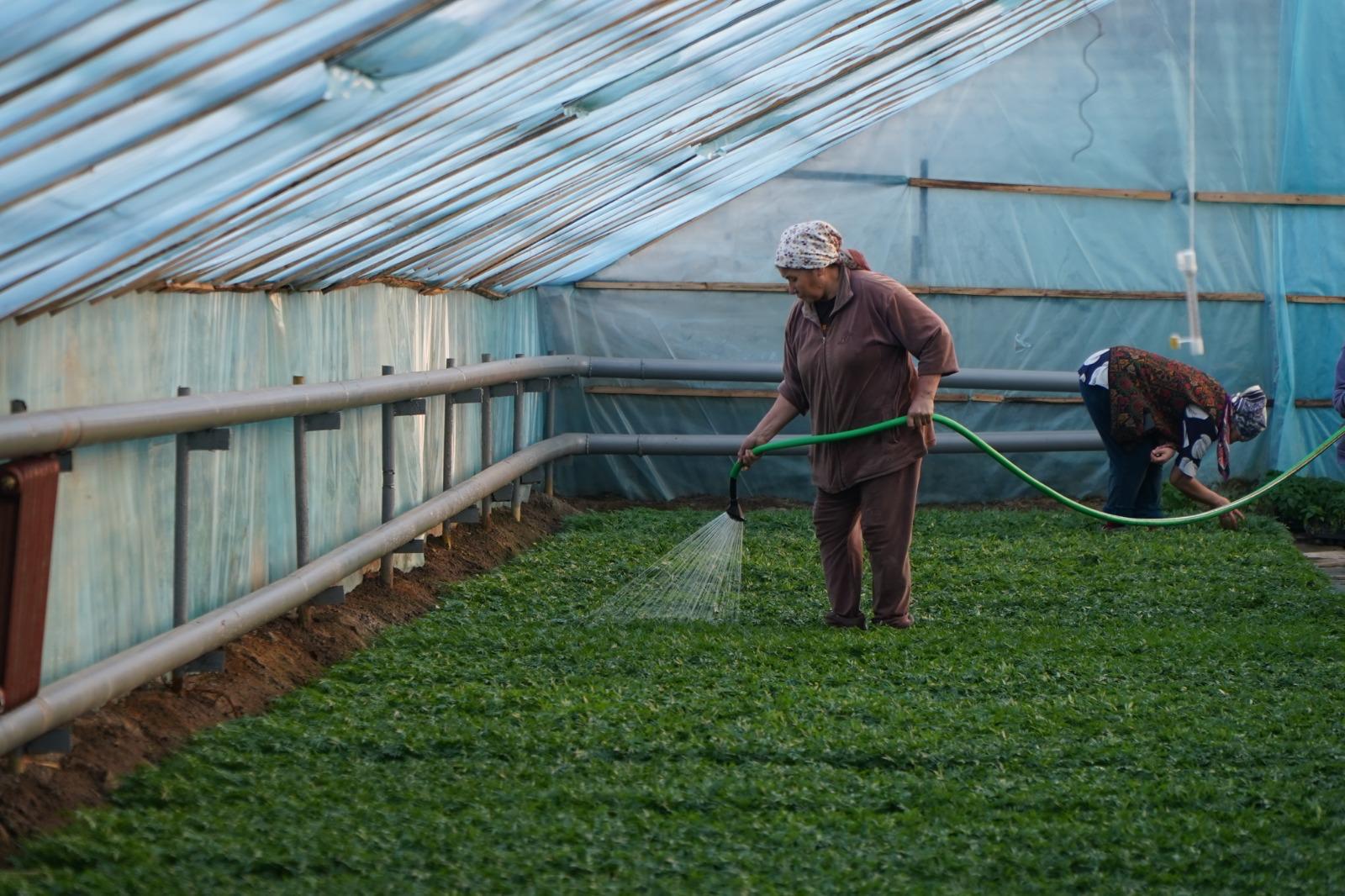 Қала әкімі «Жасыл ел-Тараз» мекемесінің көктемгі абаттандыру жұмыстарымен танысты