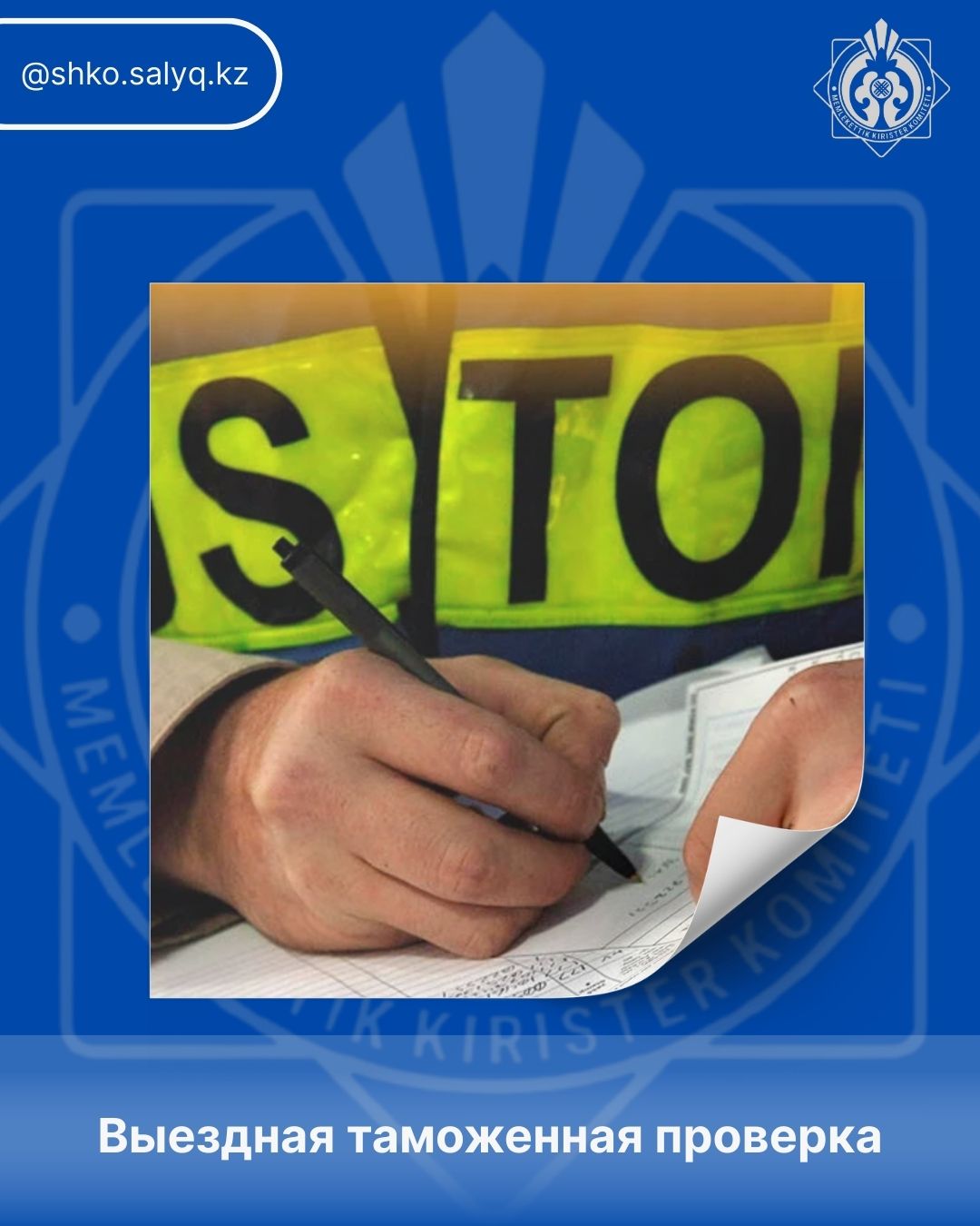 Выездная таможенная проверка