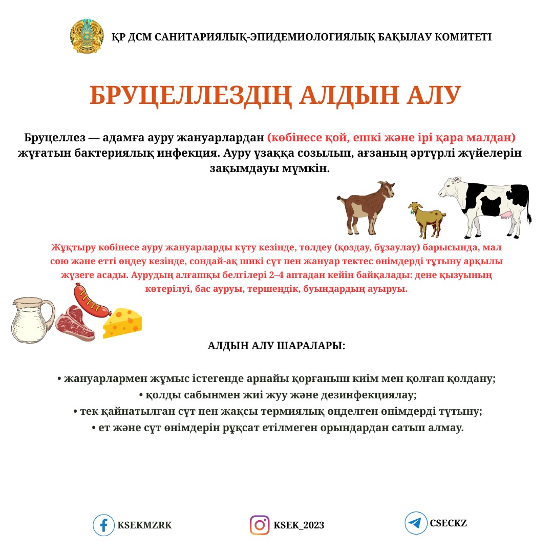 Бруцеллездің алдын алу