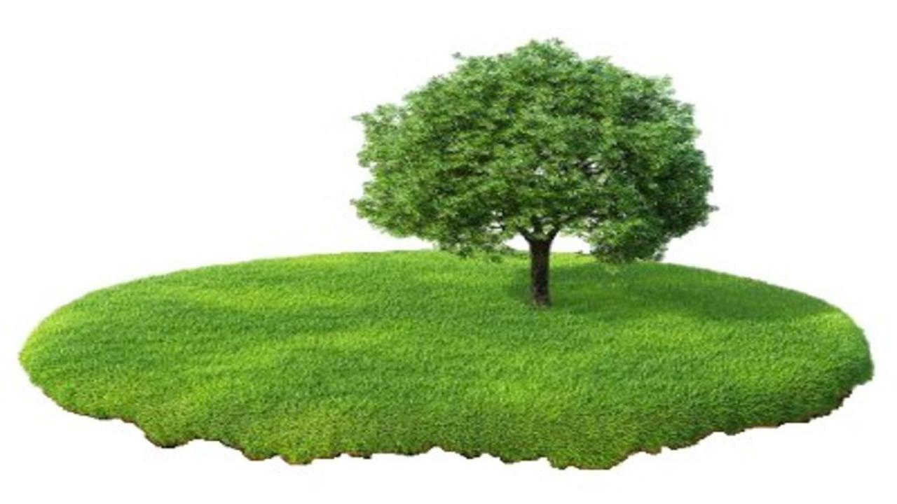 ИНФОРМАЦИОННОЕ СООБЩЕНИЕ