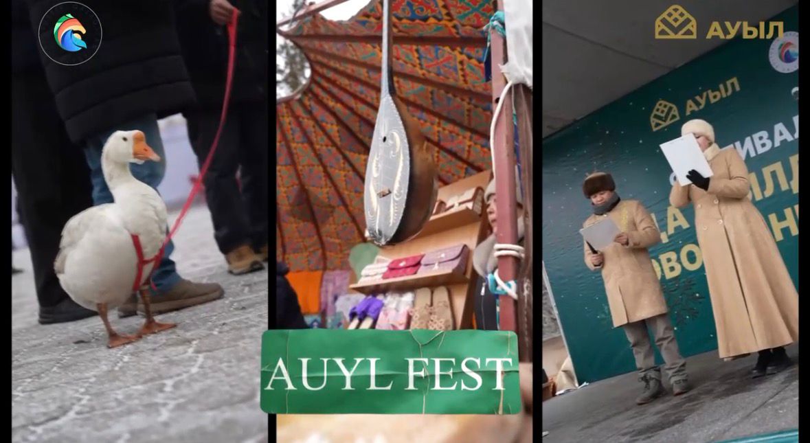 СҚО-да II Халықаралық «AUYL FEST. Қаз өсіру - 2026» фестивалі өтеді
