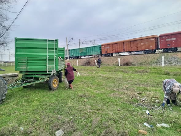 ТАЗА ҚАЗАҚСТАН: САРЫАҒАШТА АЛҒЫС АЙТУ КҮНІНЕ ОРАЙ КЕҢ КӨЛЕМДІ СЕНБІЛІК ҰЙЫМДАСТЫРЫЛДЫ