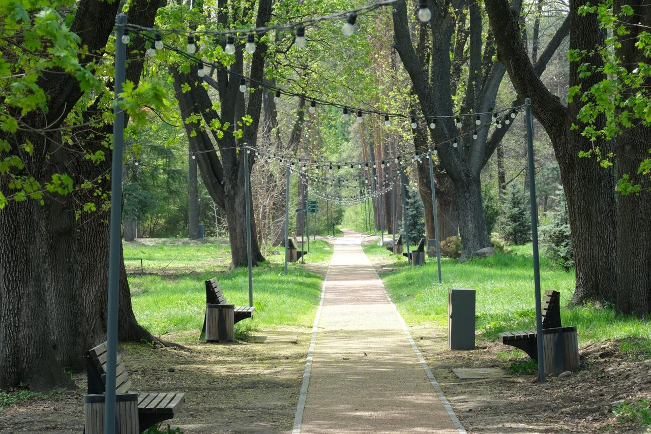 В Алматы разработают дендрологический план до 2030 года