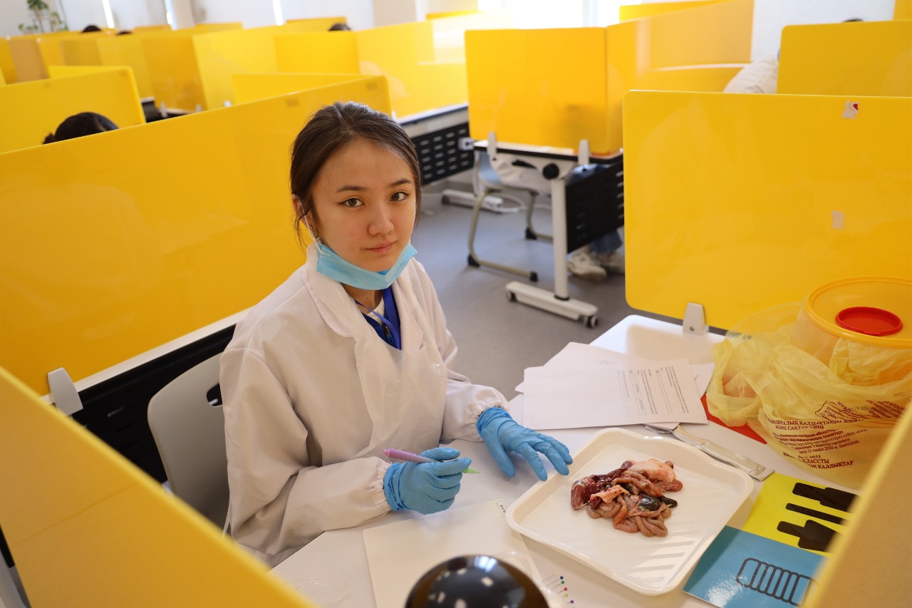 Қостанайда информатика және математика пәндері бойынша республикалық олимпиаданың қорытынды кезеңі басталды