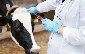 Хабарландыру