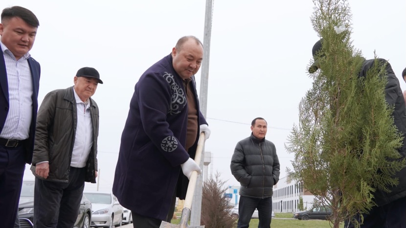 КЕЛЕСТЕ ЖАҢАРУ КҮНІ: ЖАСЫЛ ЖЕЛЕККЕ ЖАН БІТТІ