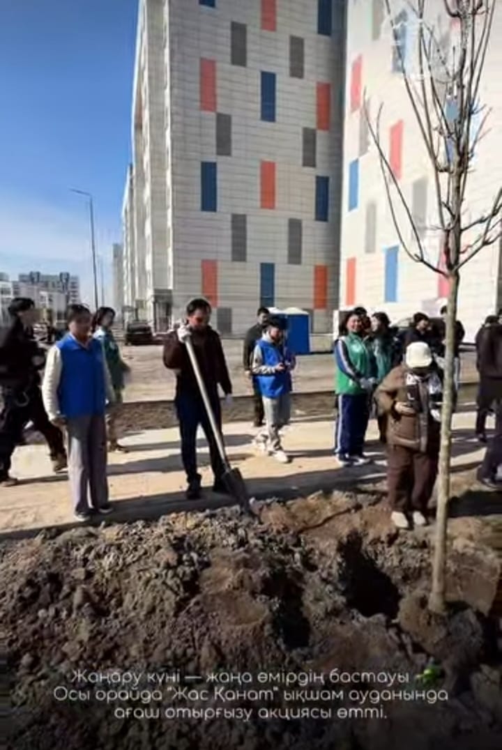 Ірі көлемді 150 түп шаған ағашы отырғызылды