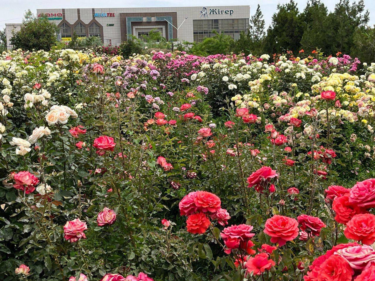 19 наурыз – Жаңару күні