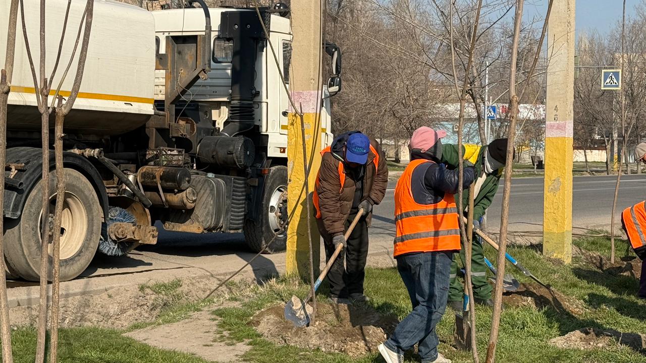 Таразда Әз Наурыз тал егуден басталды