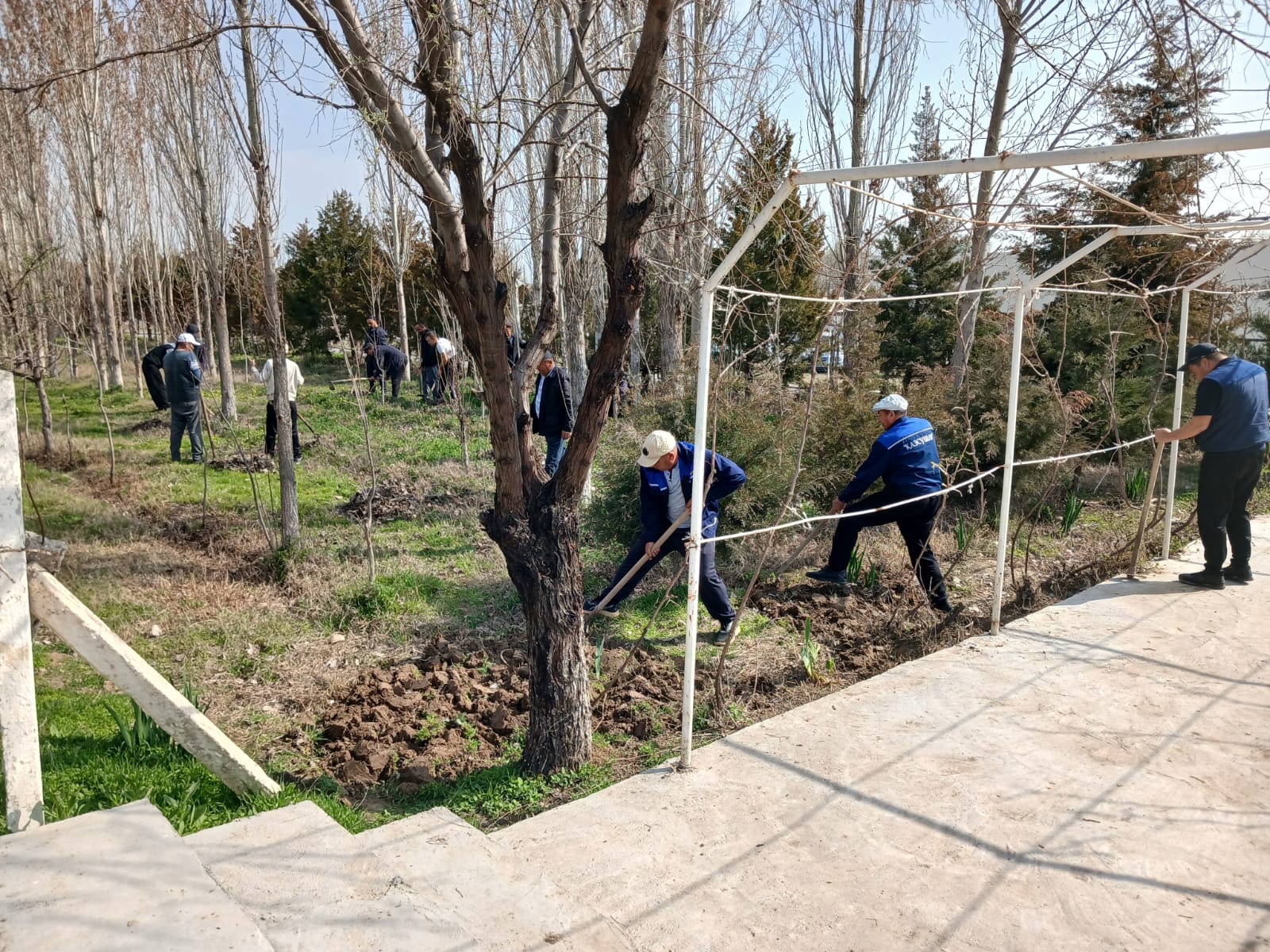 МАҚТААРАЛДА КАНАЛДАР МЕН АРЫҚ-АТЫЗДАРДЫҢ БОЙЫ ТАЗАЛАНДЫ