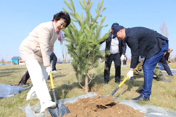 НАУРЫЗНАМА: ТҮРКІСТАН ОБЛЫСЫНДА «ТАЗА ҚАЗАҚСТАН» ЖОБАСЫ АЯСЫНДА ТАЗАРУ КҮНІНЕ ОРАЙ 15 МЫҢҒА ЖУЫҚ КӨШЕТ ЕГІЛДІ