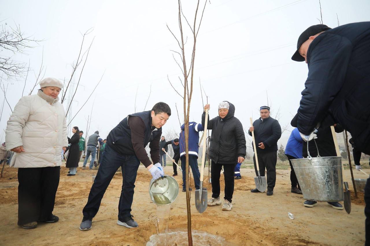 Маңғыстау облысында «Тазару күні» экологиялық акциясы аясында ауқымды сенбілік өтті