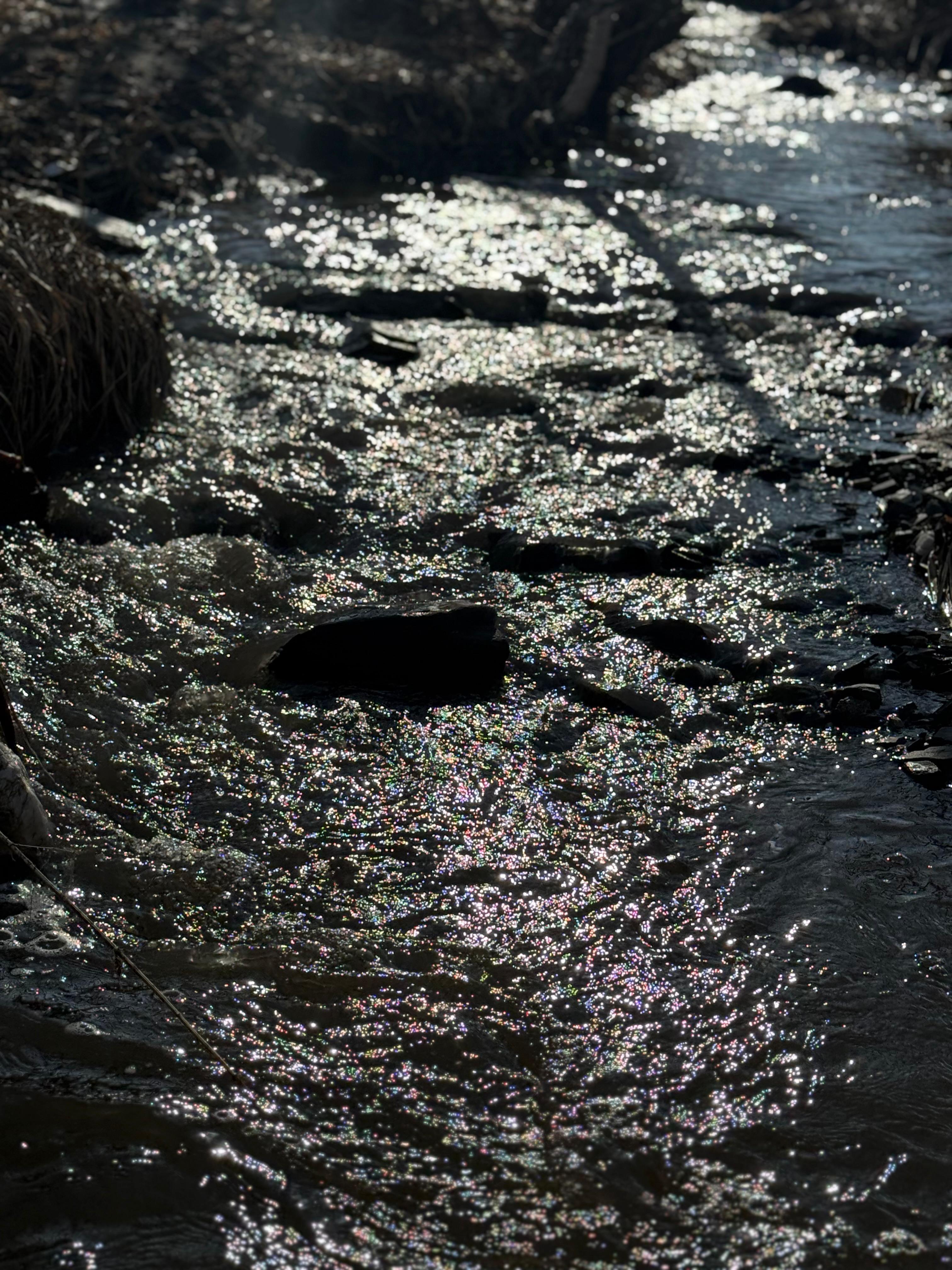 Наурызнама онкүндігі аясындағы «Мөлдір бұлақ» акциясы – ШҚО