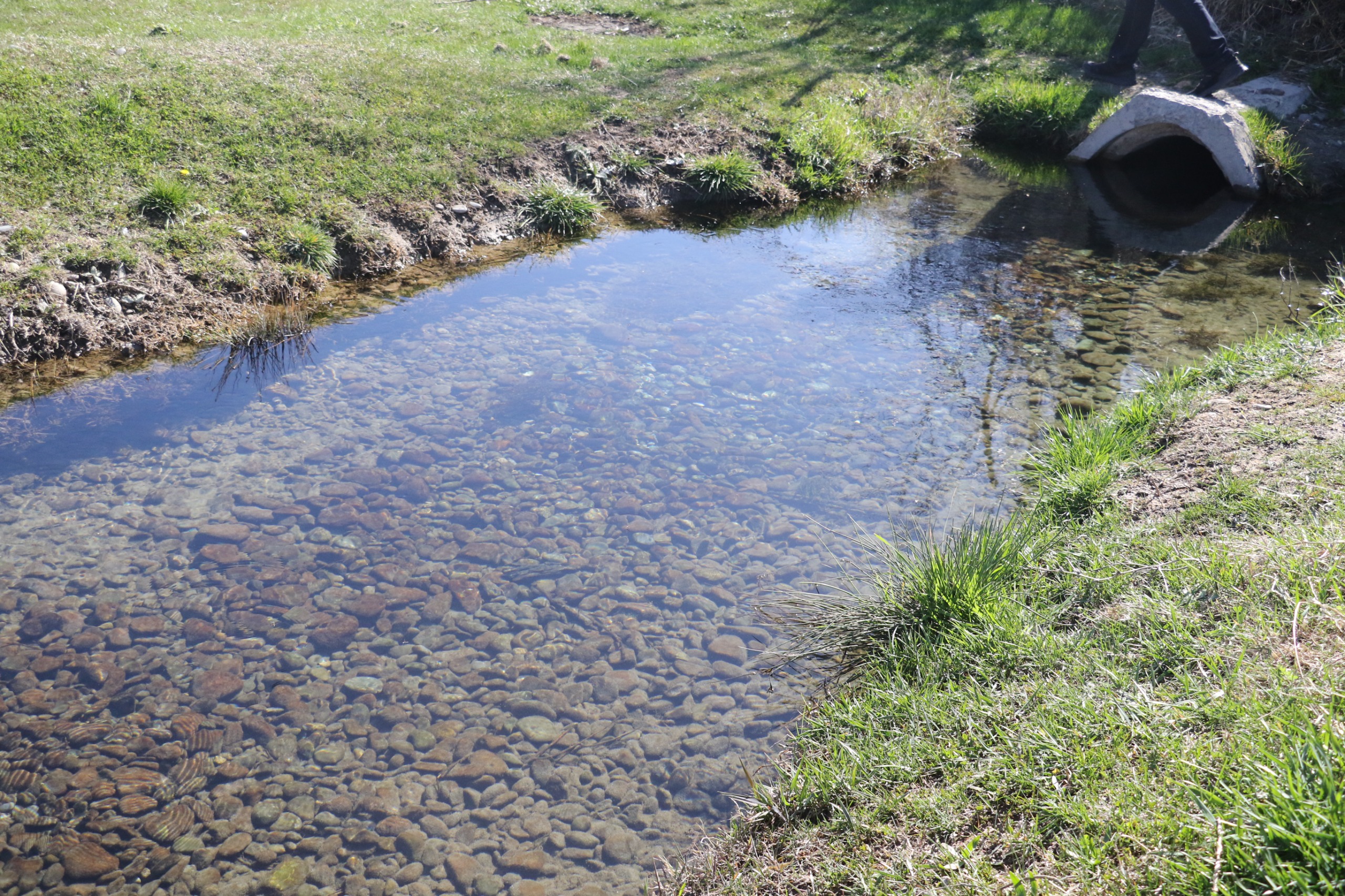 ТУРКЕСТАН: В ТЮЛЬКУБАССКОМ РАЙОНЕ В РАМКАХ АКЦИИ «МӨЛДІР БҰЛАҚ» РАСЧИЩЕНО БОЛЕЕ 40 РОДНИКОВ