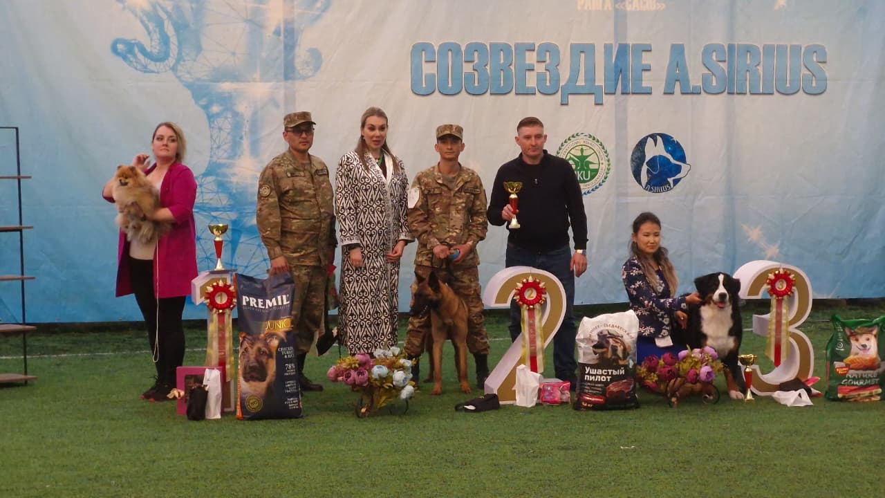 Ұлттық ұланның қызметтік иттері A.SIRIUS 2026 көрмесінде жоғары дайындық деңгейін дәлелдеді