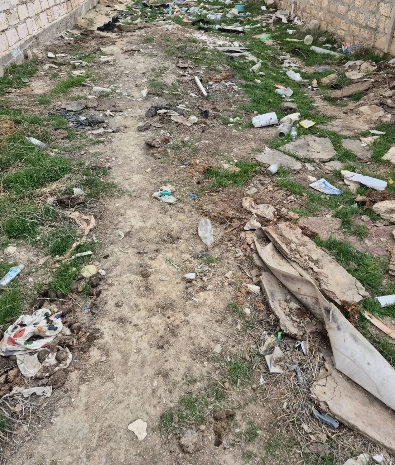 “Таза Қазақстан” экологиялық акциясы