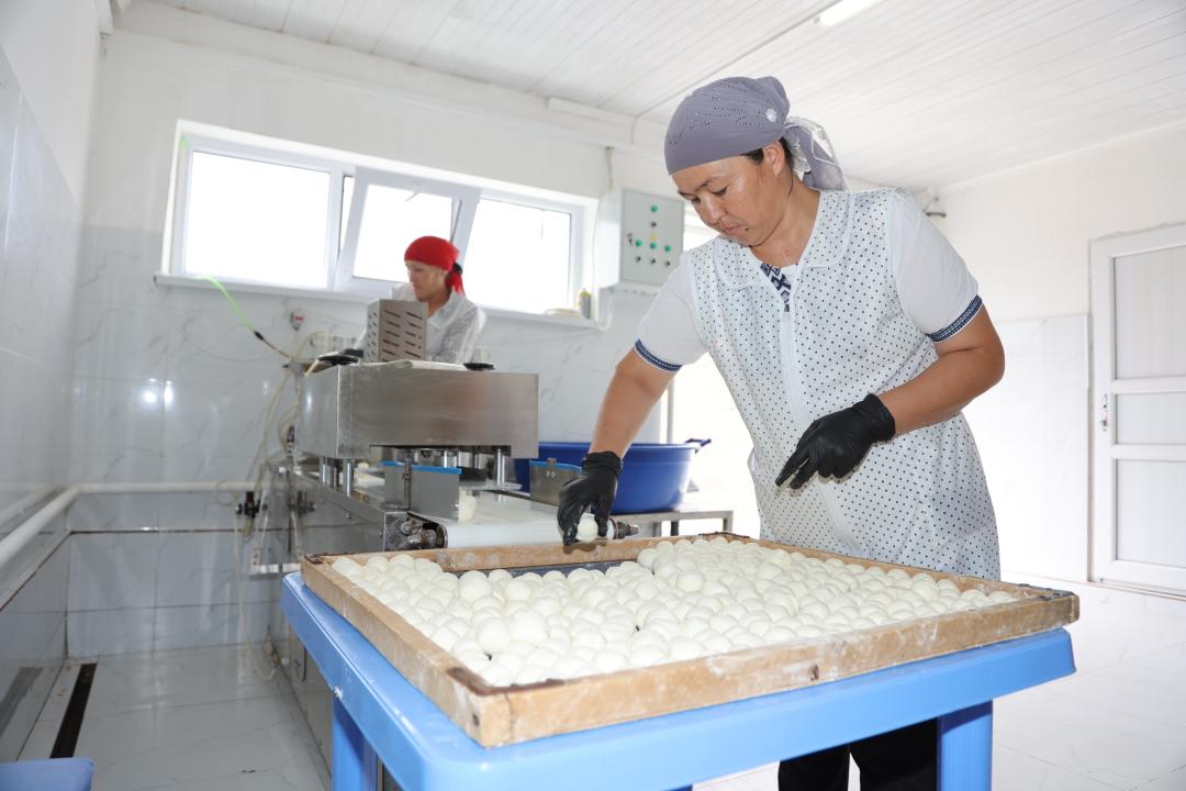 Жамбыл облысында ауыл шаруашылығы өнімдерін қайта өңдеу саласында 2,5 мыңнан астам адам жұмыспен қамтылған
