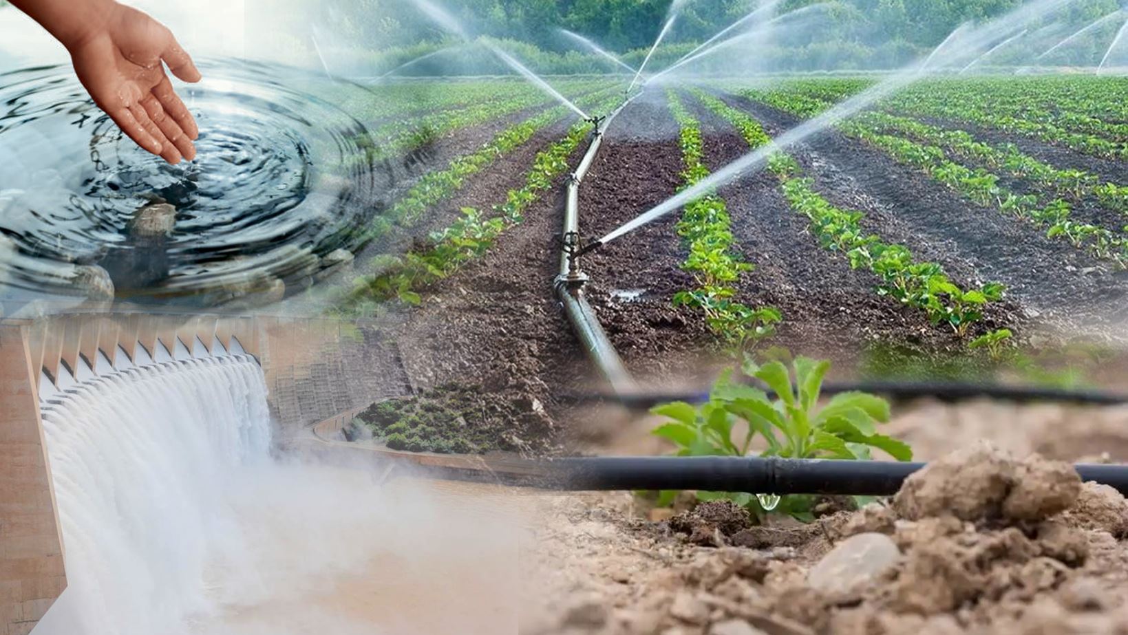 Адал еңбек абыройға бөлейді