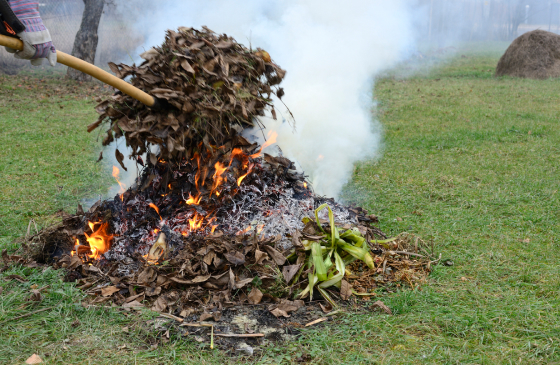 Қоқыс өртеу фактілерінің алдын алу – басты міндет