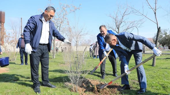 ТАЗАРУ КҮНІ: АРЫСҚА КІРЕР ҮШ БАҒЫТ ЖАСЫЛЖЕЛЕККЕ ОРАНАДЫ