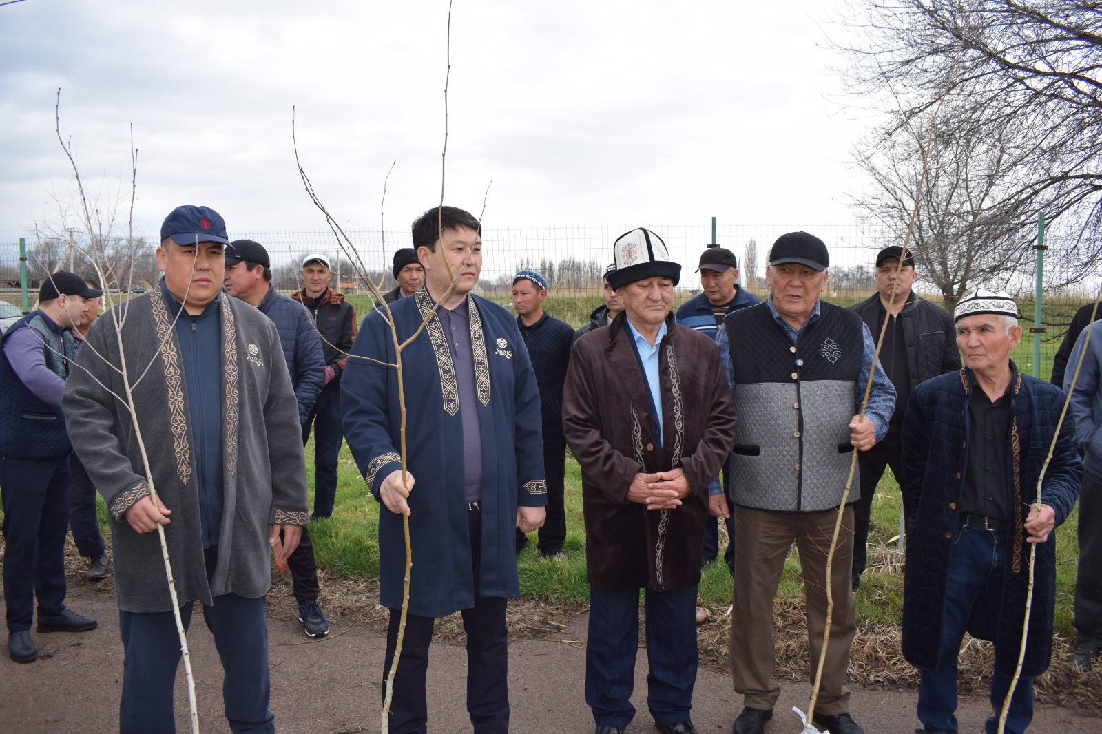 ТАЗАРУ КҮНІ: МЕРКІДЕ МЫҢНАН АСА АҒАШ ОТЫРҒЫЗЫЛДЫ