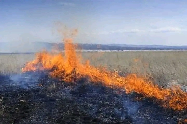 ӨРТ ҚАУІПТІ КЕЗЕҢДЕ ЖҮРГІЗІЛЕТІН ЖҰМЫСТАР  ҚҰРМЕТТІ АУЫЛ ТҰРҒЫНДАРЫ НАЗАРЫНА!
