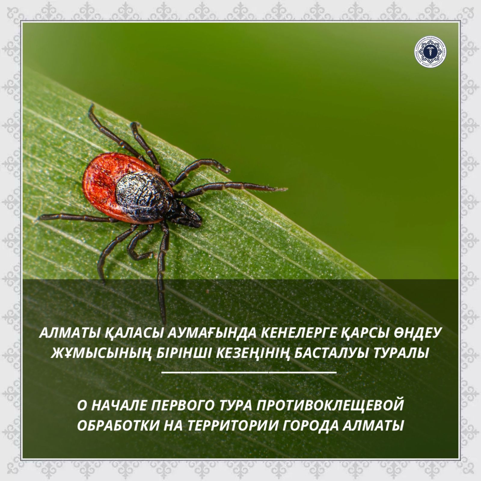 Алматы қаласы аумағында кенелерге қарсы  өндеу жұмысының бірінші кезеңінің басталуы туралы