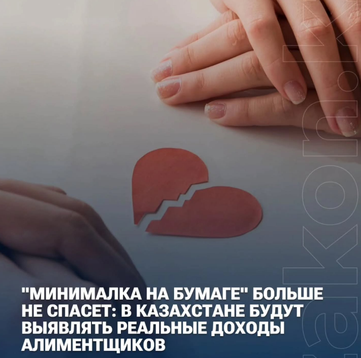 Қазақстанда нақты табысын жасырған алимент борышкерлеріне бақылау күшейтіледі