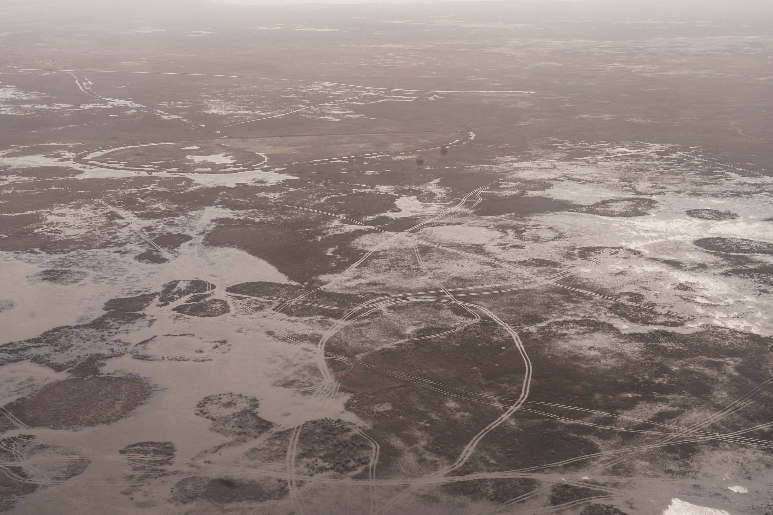 Исследования и озеленение: в Атырау разрабатывают меры по борьбе с пыльными бурями