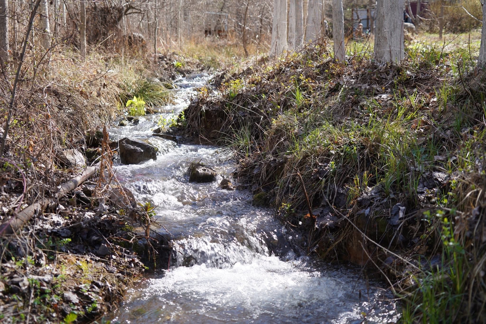 ТУРКЕСТАН: ОКОЛО 500 ЖИТЕЛЕЙ КАЗЫГУРТСКОГО РАЙОНА ПРИНЯЛО УЧАСТИЕ В РЕСПУБЛИКАНСКОЙ АКЦИИ «МӨЛДІР БҰЛАҚ»