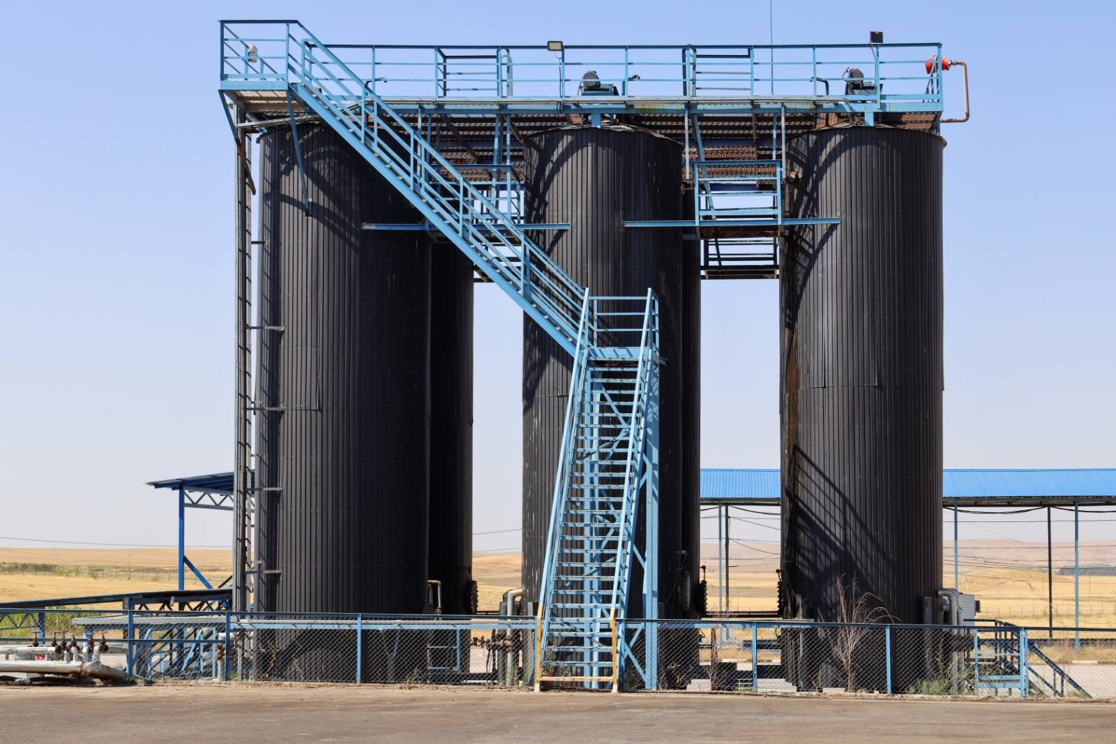 Президент Түркістан облысының даму қарқынын жоғары бағалады