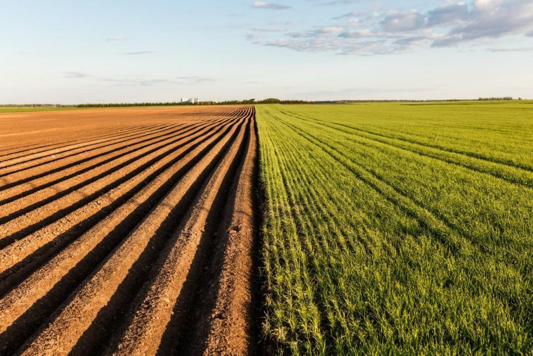 Хабарландыру