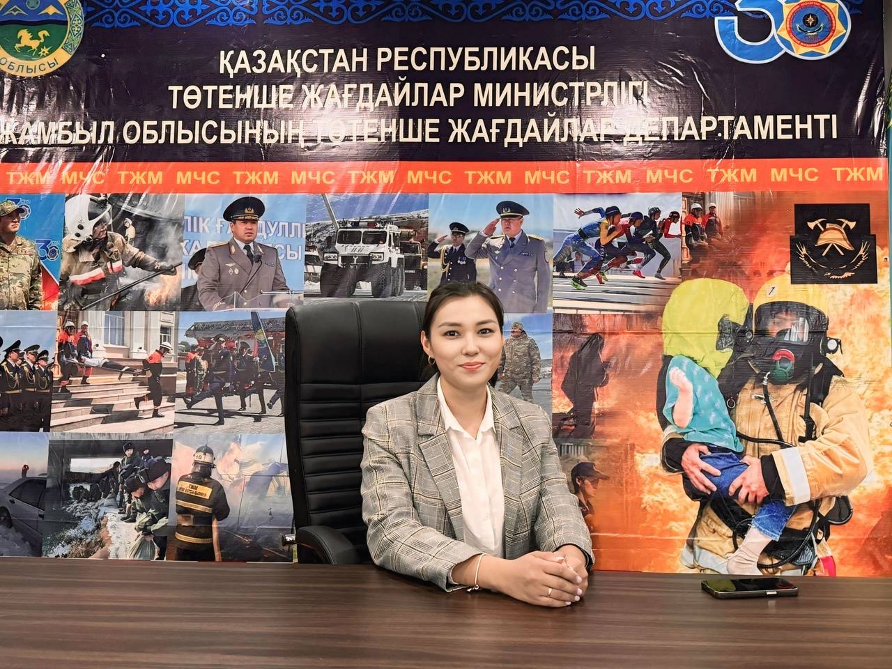 Кәсібилік пен жауапкершіліктің үлгісі