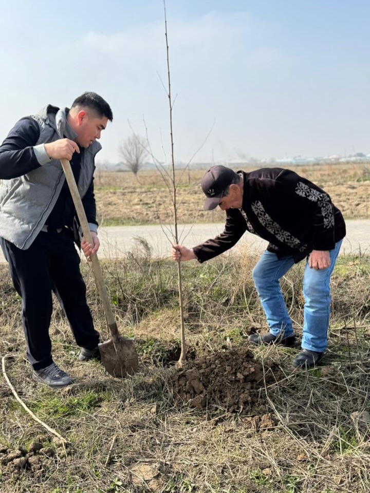 ДЕНЬ БЛАГОДАРЕНИЯ: В КЕЛЕСЕ ПРОШЛА АКЦИЯ ПО ПОСАДКЕ САЖЕНЦЕВ