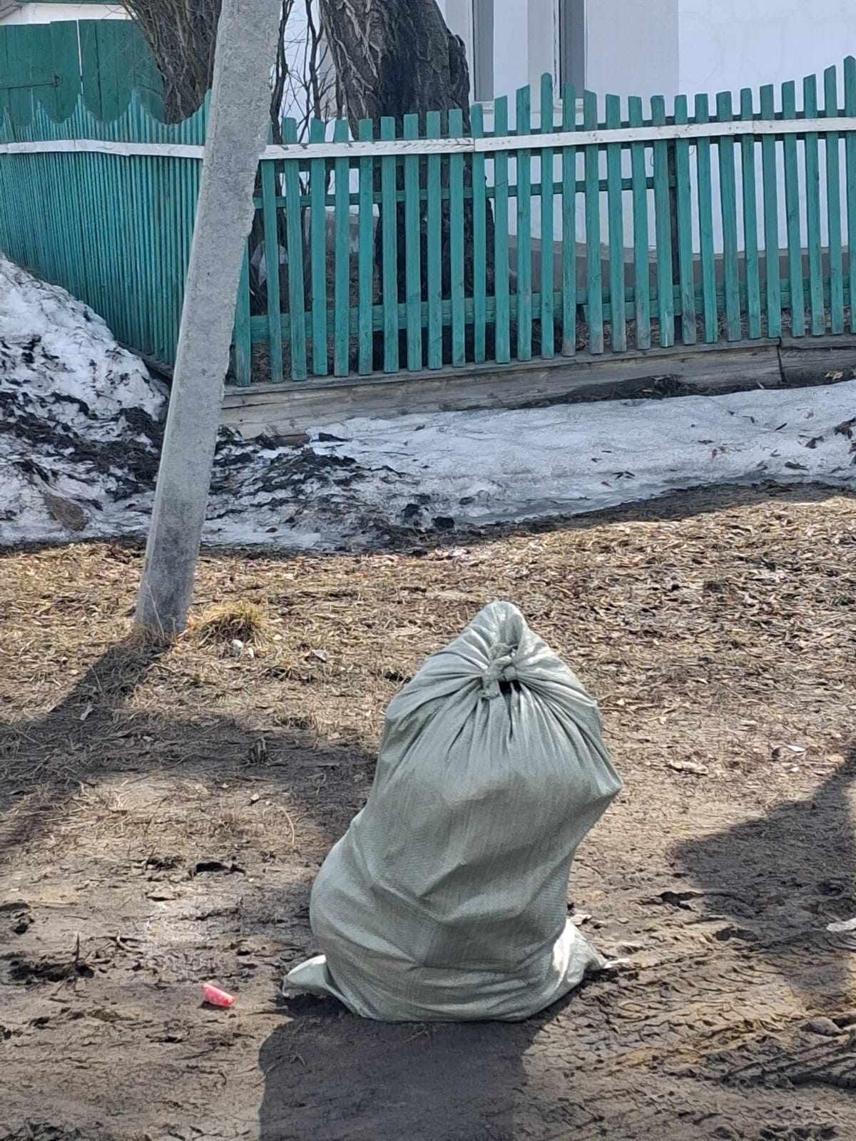 Таза Қазақстан